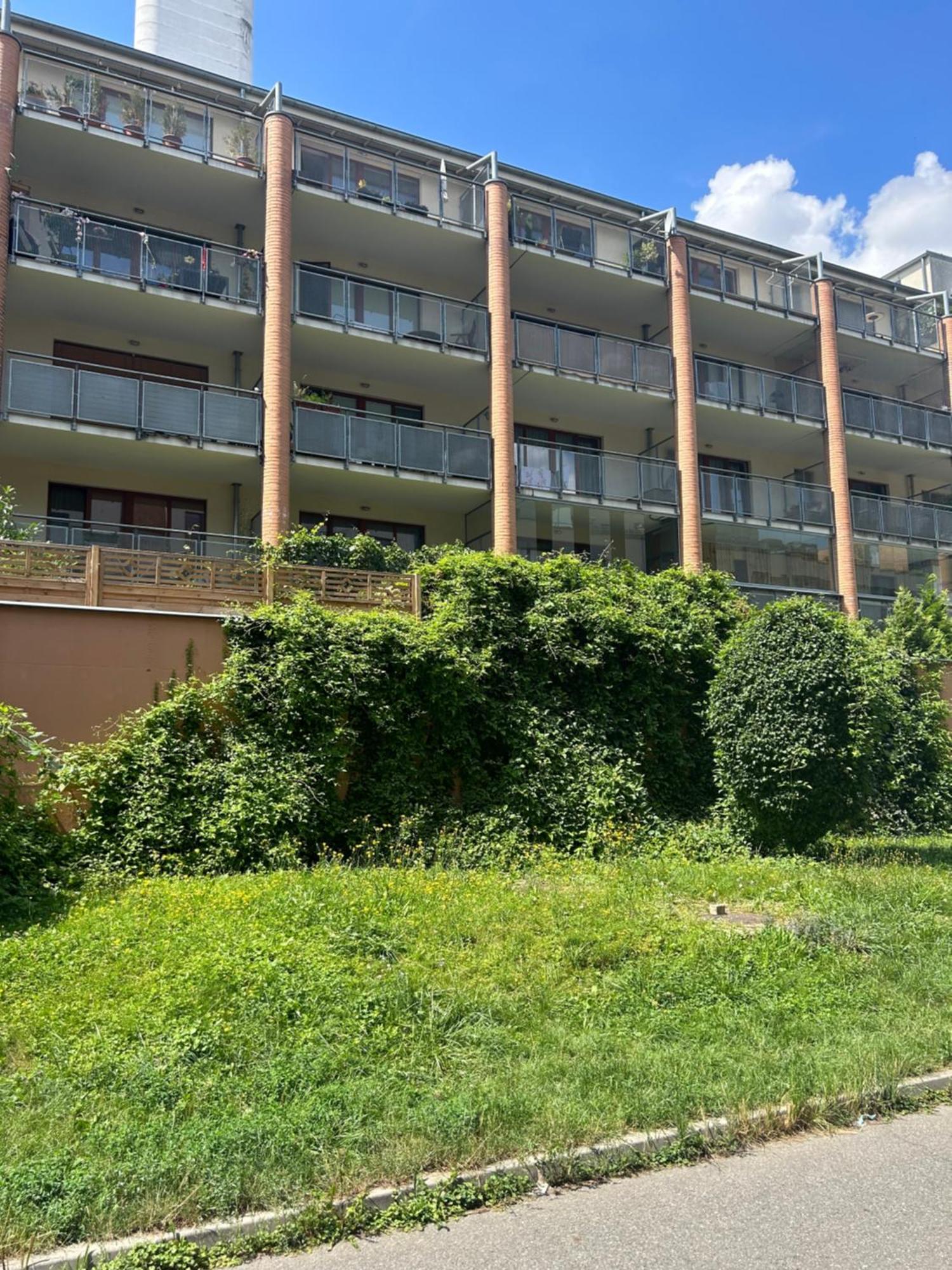 Apartmán Pegas